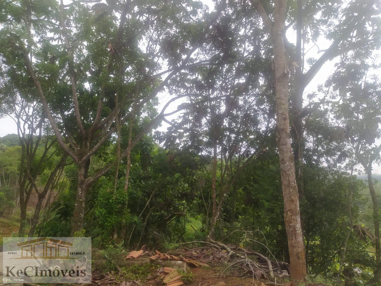 Terreno, 1000 m² - Foto 5