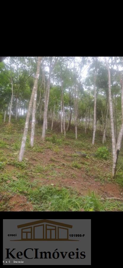 Terreno, 1000 m² - Foto 10