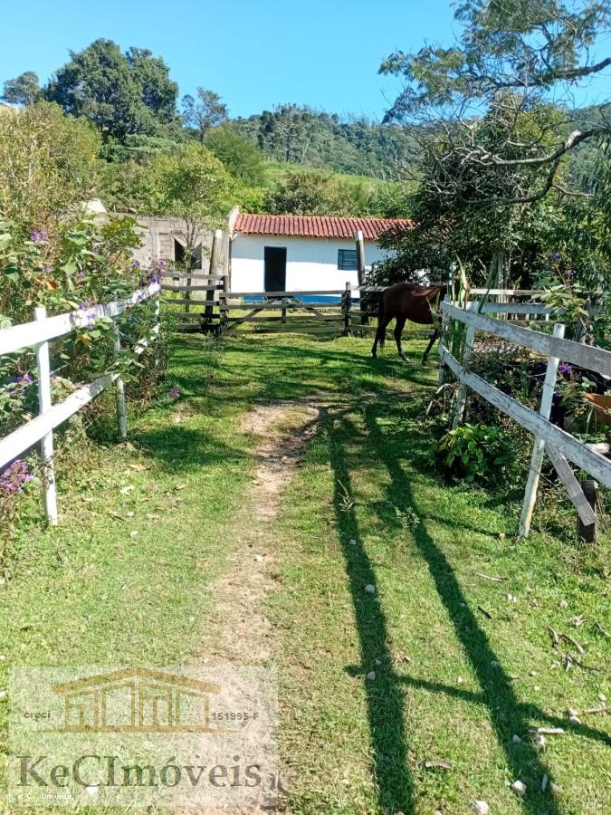 Sítio, 2 quartos, 2 hectares - Foto 1