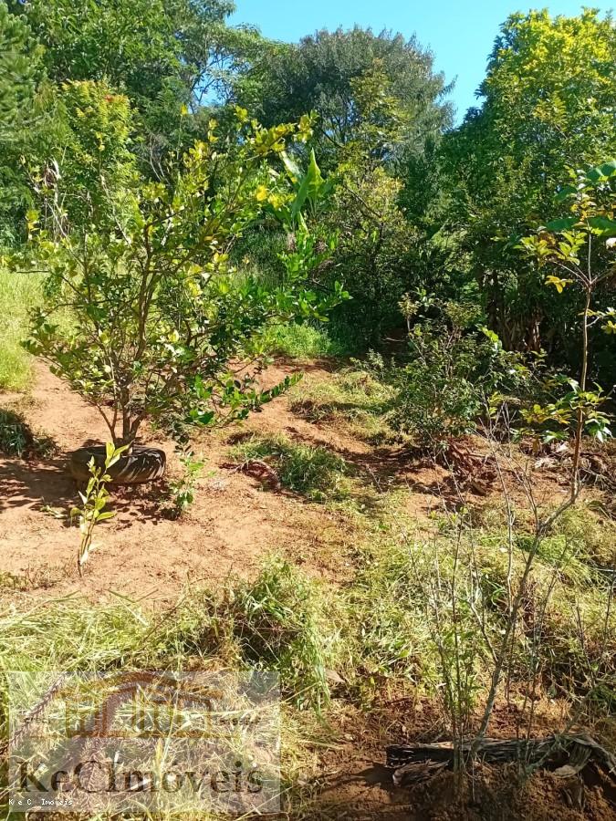 Sítio, 2 quartos, 2 hectares - Foto 9