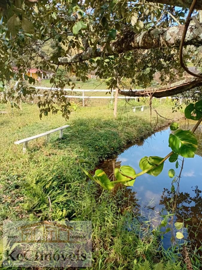 Sítio, 2 quartos, 2 hectares - Foto 14