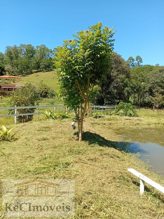 Sítio, 2 quartos, 2 hectares - Foto 21