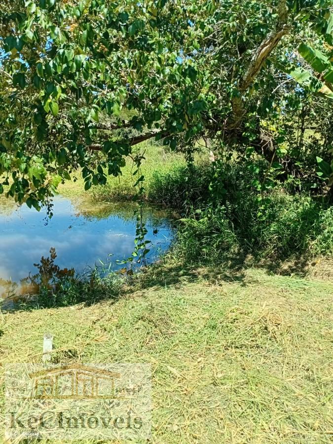 Sítio, 2 quartos, 2 hectares - Foto 23