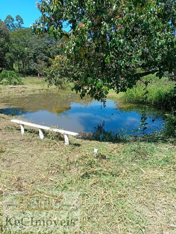 Sítio, 2 quartos, 2 hectares - Foto 24