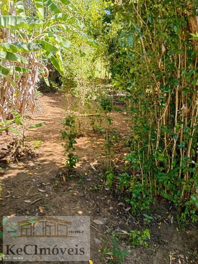 Sítio, 2 quartos, 2 hectares - Foto 28