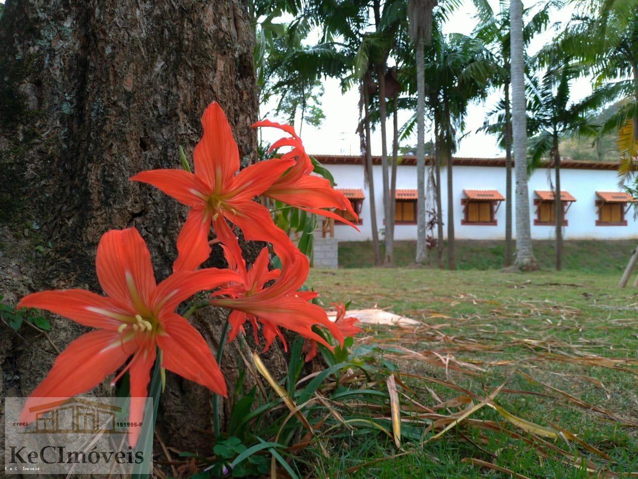 Fazenda, 380 hectares - Foto 8