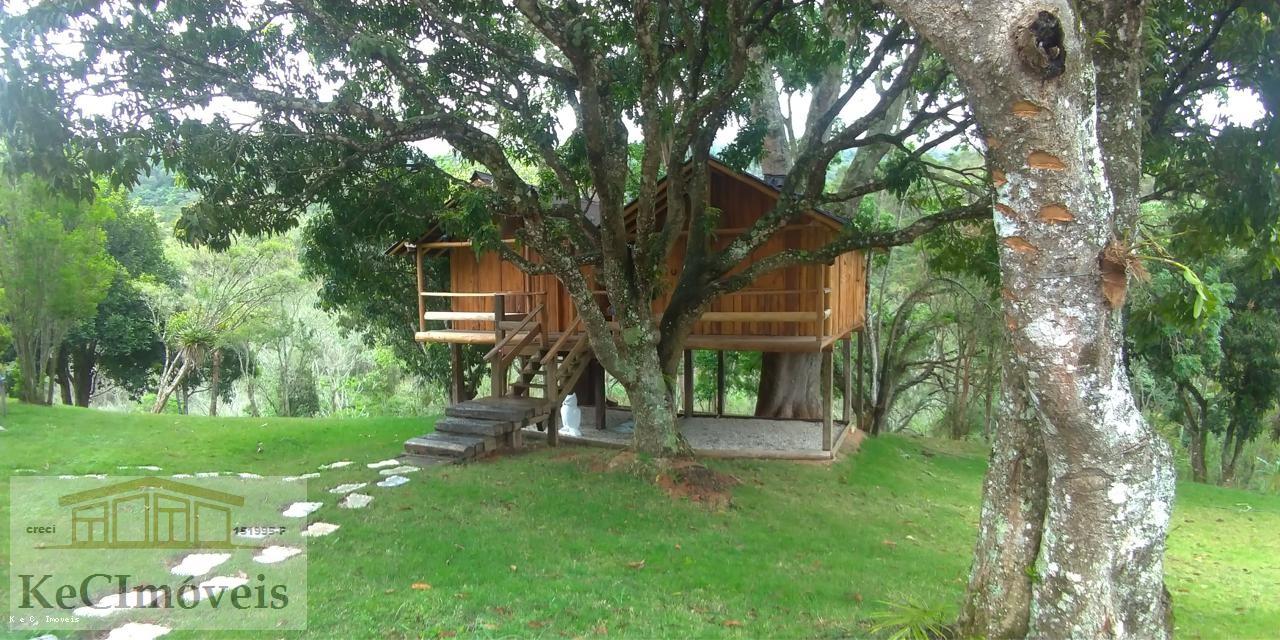 Fazenda, 380 hectares - Foto 12