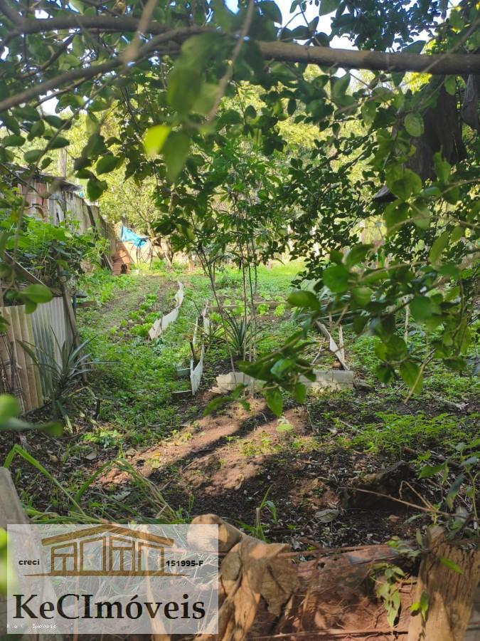Terreno, 509 m² - Foto 7